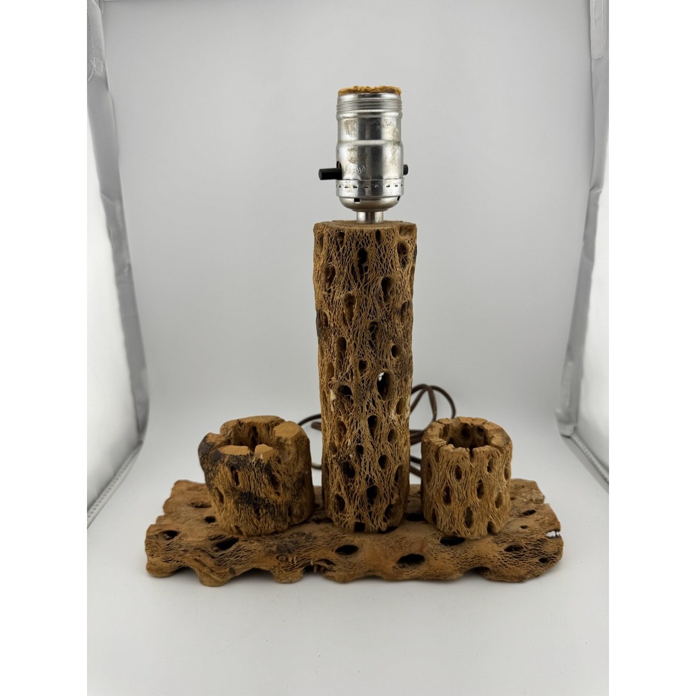 Cholla Cactus Lamp Rustic Desert Decor Table Lamp Unique Accent‎ Lighting